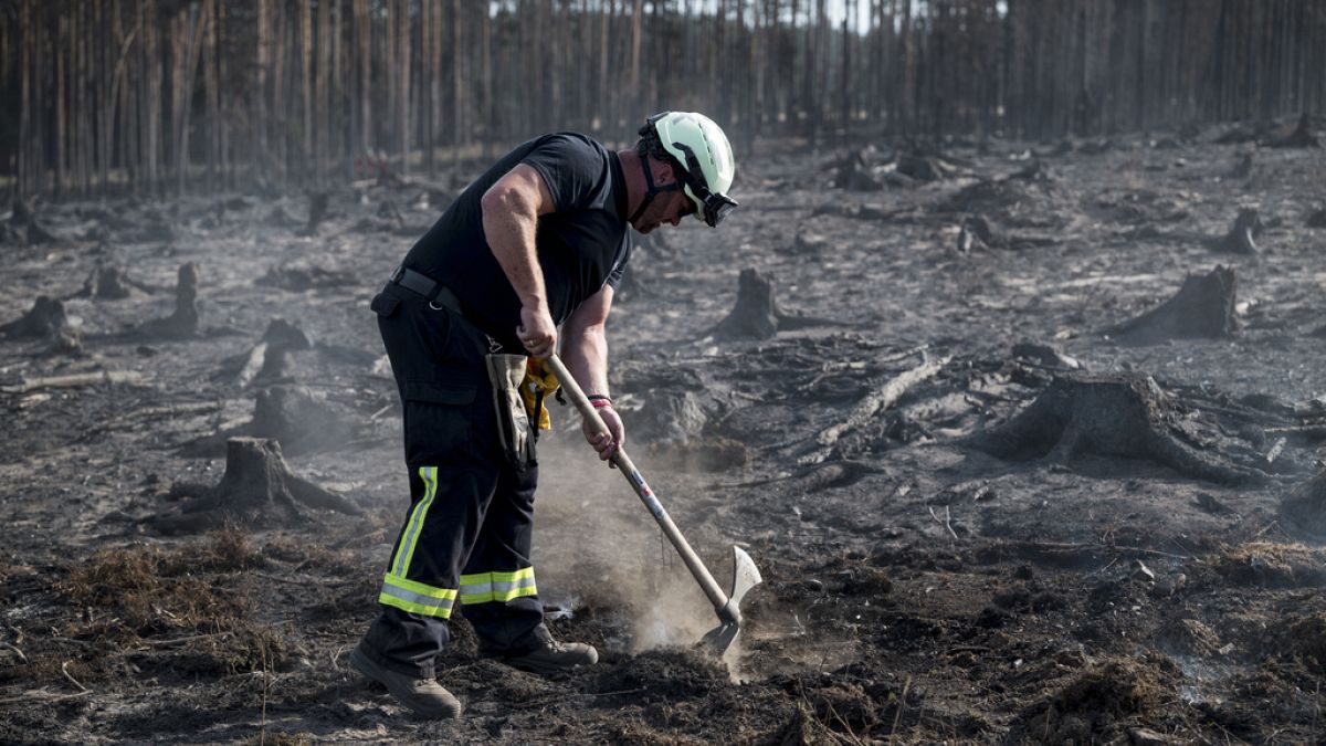 Firefighters across Europe battle wildfires as blazes continue in Germany, Greece and Turkey