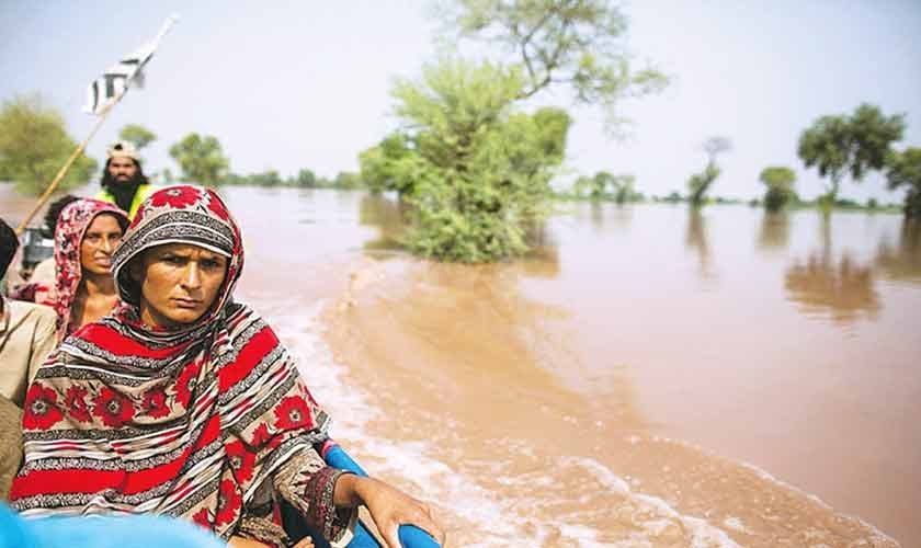 The business case for sustainability