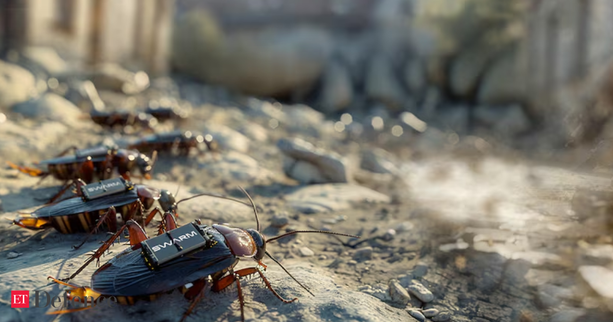 Spy cockroaches and AI robots: Germany plots the future of warfare