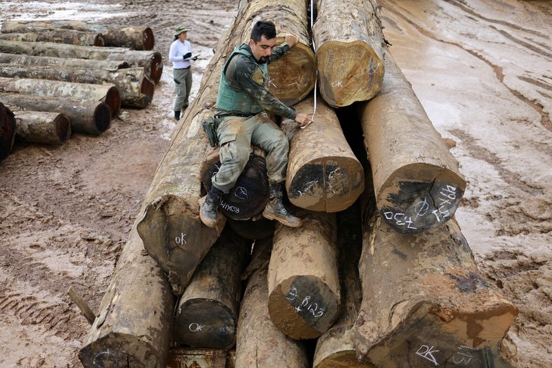 EU countries seek more cuts to deforestation rules, letter shows | WTVB | 1590 AM · 95.5 FM