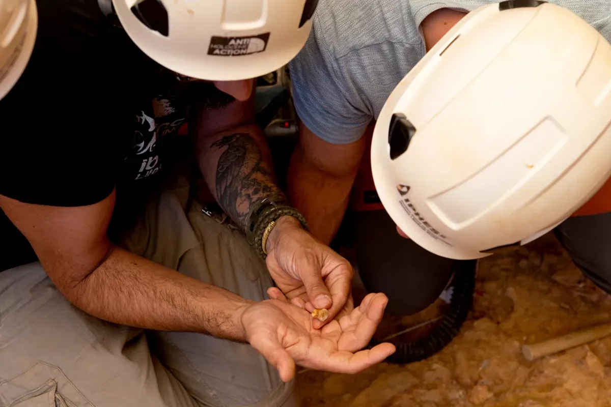 Toddler bone remains may be earliest evidence of cannibalism in Europe