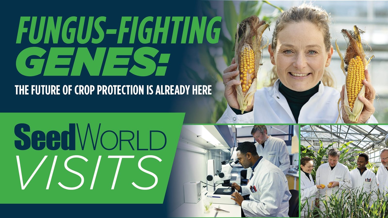 Fungus-Fighting Genes: The Future of Crop Protection Is Already Here