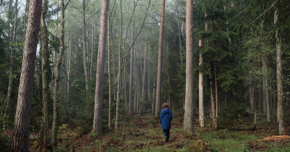 Carbon credits... a hit or miss for Europe’s agtech sector?