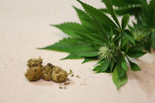 Former CEO and chairman of Canopy Growth Corporation Bruce Linton weighs in on company's latest news