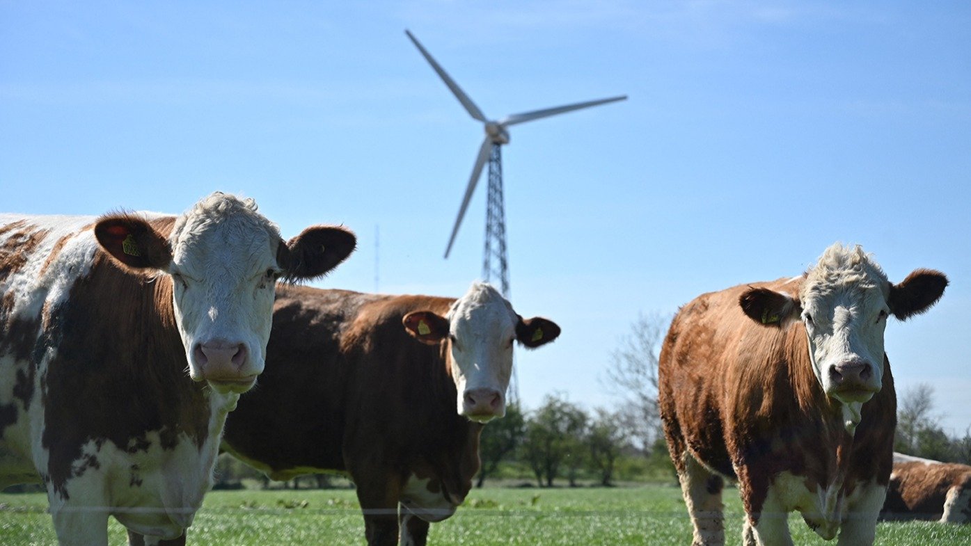 Bring EU farm policy in line with climate goals, say researchers