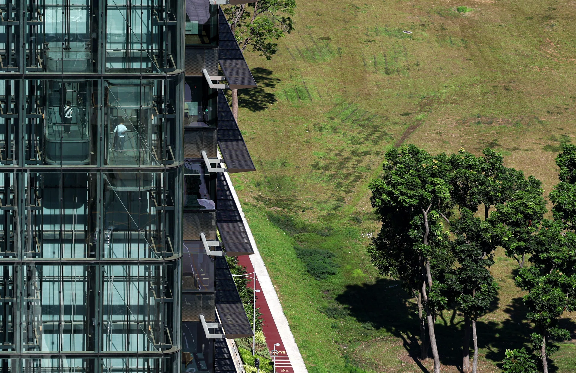 ABN Amro analysts see ESG bond issuance dropping ‘considerably’