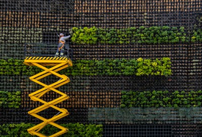 EEA calls for biomass innovation to strengthen Europe’s bioeconomy