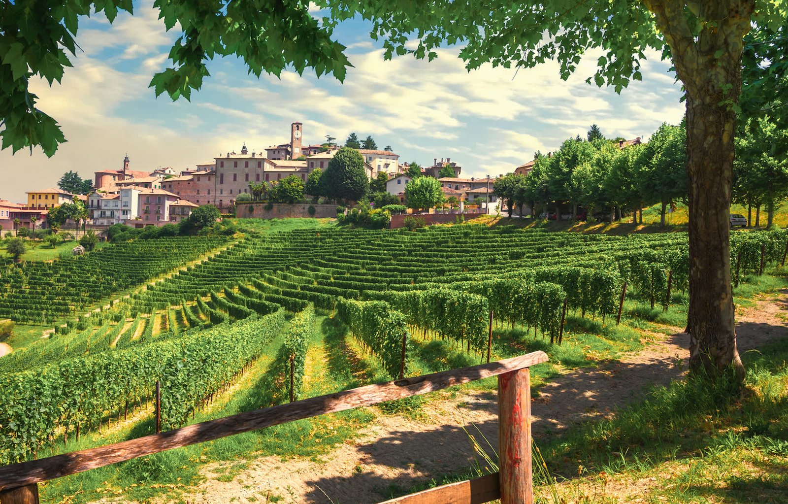 "A shared priority driven by genuine care and long-standing connection."