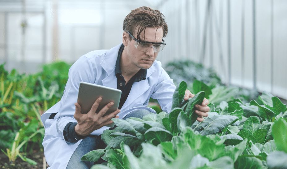 Cultivating change: 10 promising European startups focused on agriculture