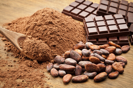 Cargill improves sustainability across cocoa supply chains