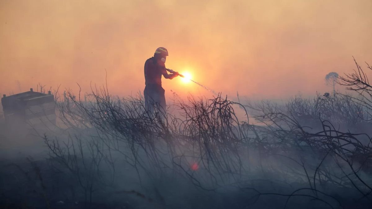 Europe’s wildfire emissions soar to record highs as extreme heat and drought fuel summer blazes