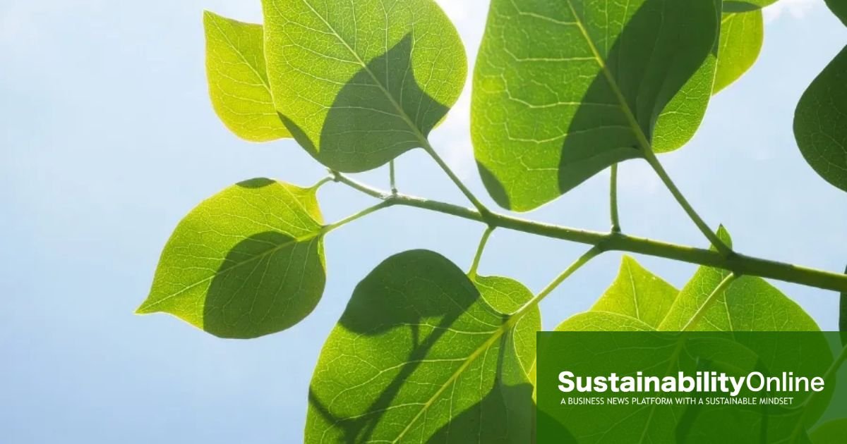 Financial institutions ‘leveraging their influence’ to drive environmental efforts