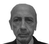 For a green transition - The Malta Independent