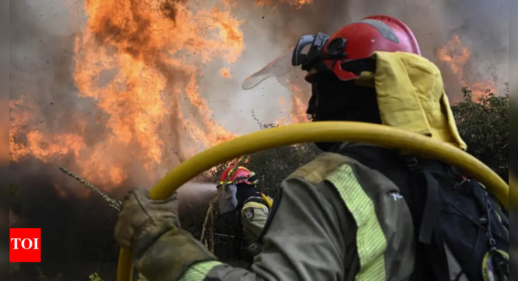 A cruel summer as record wildfires scorch Europe | World News
