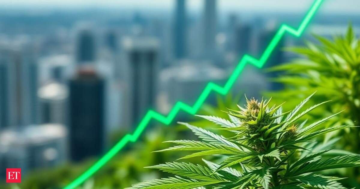 Tilray stock today latest news: Is Tilray stock a Buy? TLRY soars over 16% amid optimism about US cannabis regulatory changes and European expansion