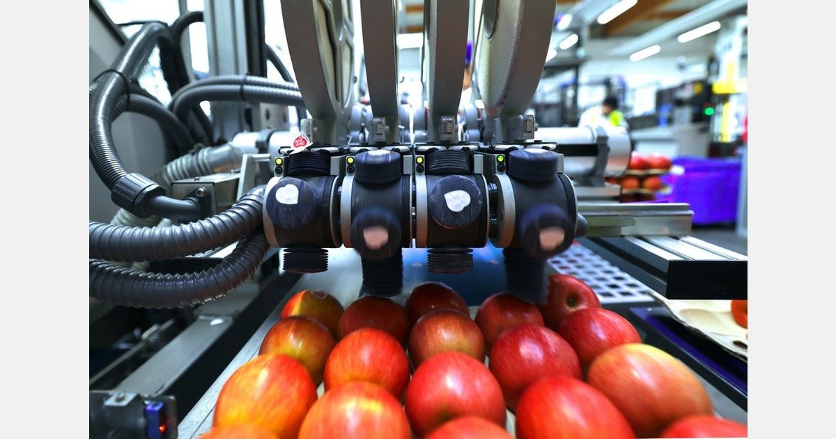 How compostable fruit labels are a path to sustainable produce packaging