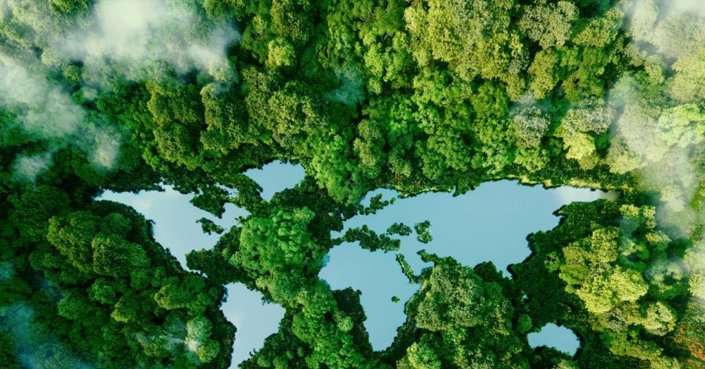 The Green Divide: why sustainability leaves the Global South behind | Article