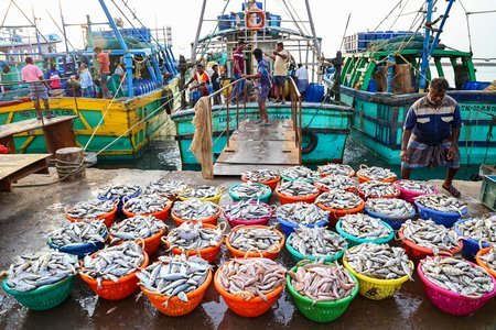 India's seafood exports touch $7.45 billion