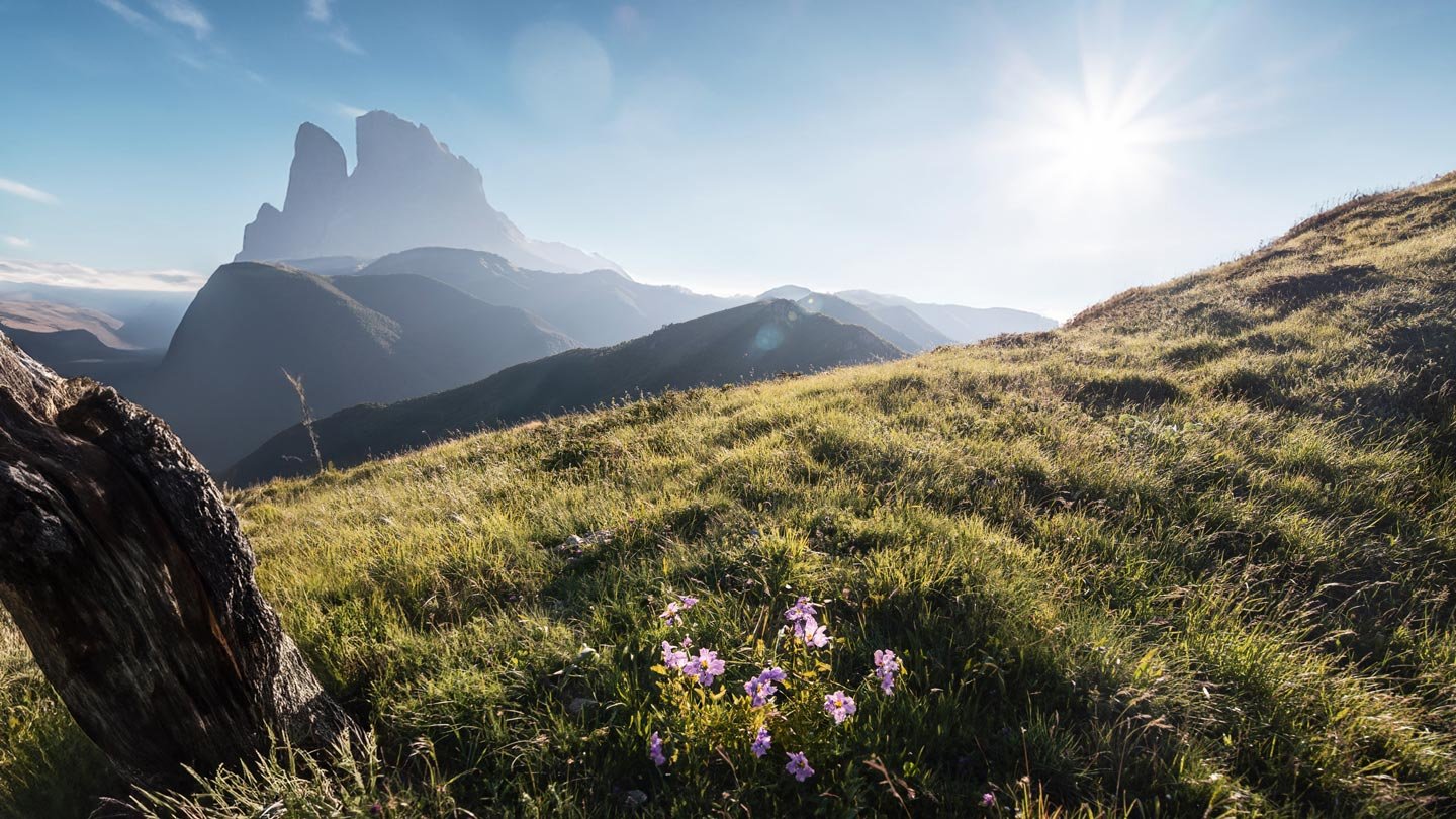 This Time It’s Different: The Strategic Imperative in Private Equity