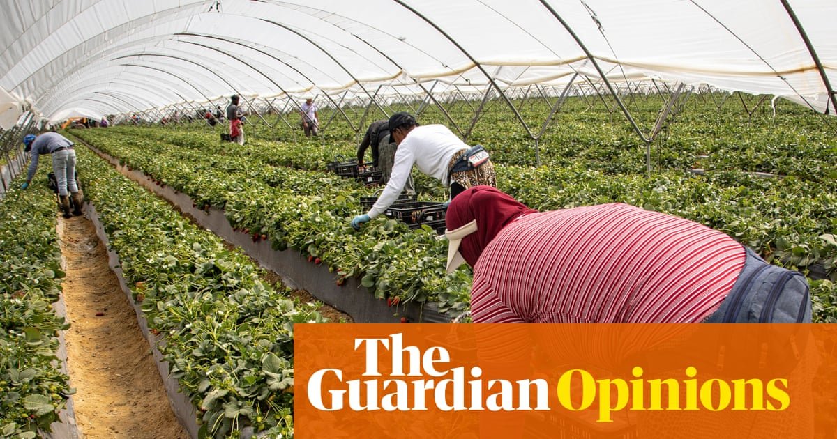 Spain’s economy is the envy of Europe, but the plight of its strawberry pickers tells another story | Tone Sutterud