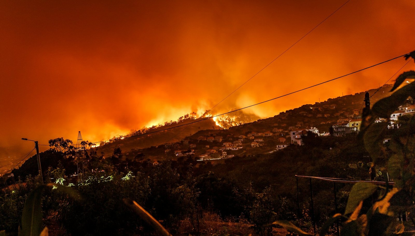 Europe Faces Wildfires During Climate Crisis