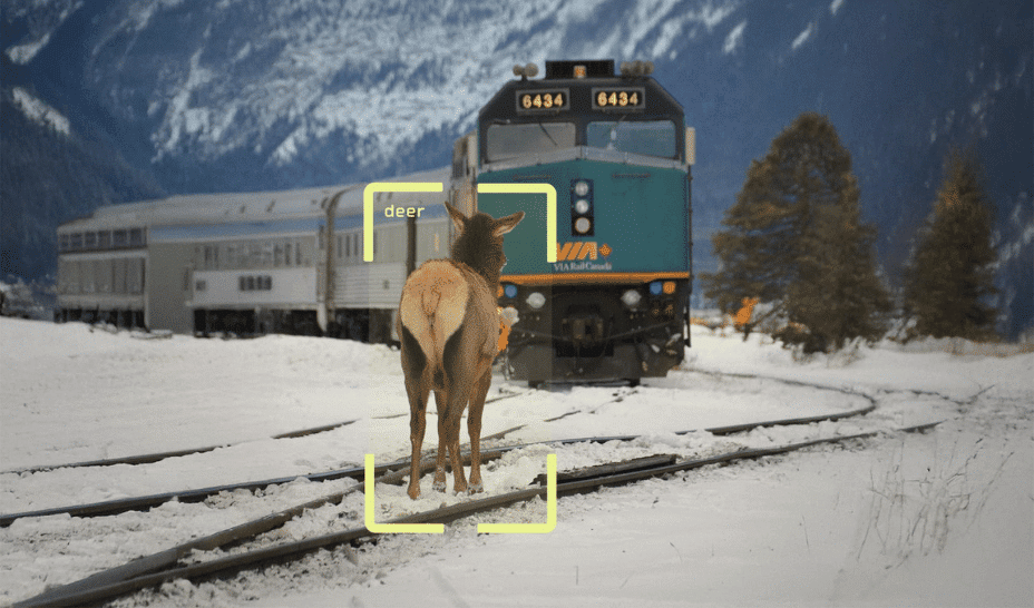 Swedish AI startup Flox secures nearly €1 million to keep wildlife safe and help coexist without conflict