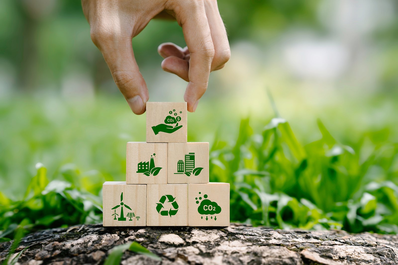 cover Sustainable goals setback leaves Cyprus last in EU