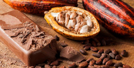 Nigeria’s $700m cocoa exports at risk amid EU sustainability demands