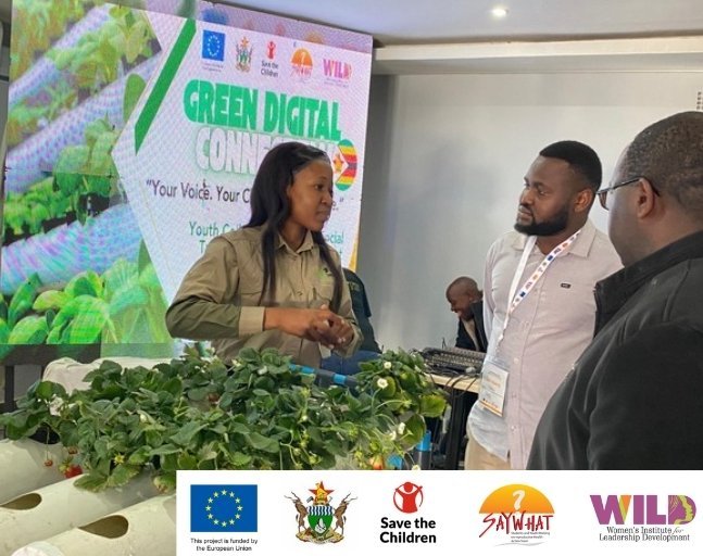 Empowering Zimbabwean Youth with Green Skills: The Green Jobs Boot Camp