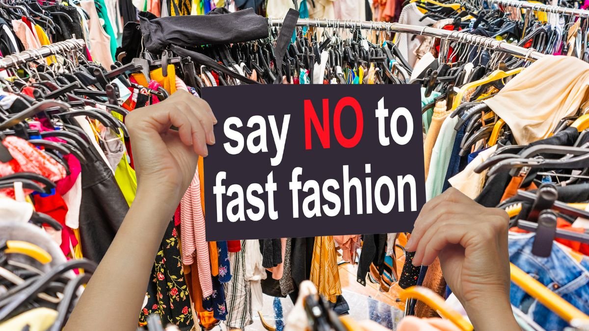 fast fashion canva 2