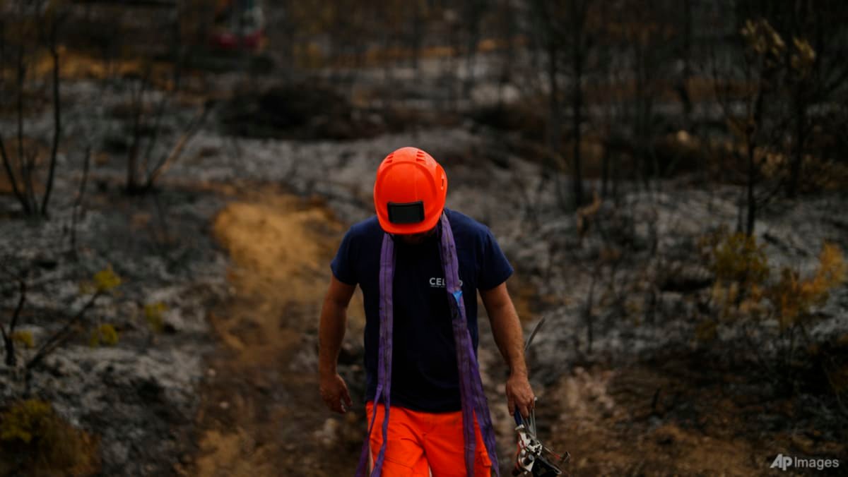 Firefighters bring huge blaze in France under control
