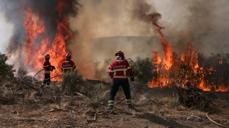 ‘We’re being cooked alive:’ Europe burns as temperatures soar above 100 degrees