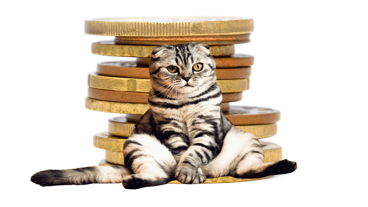 Pet tech in Europe is pawsitively booming with investors lining up to play ball