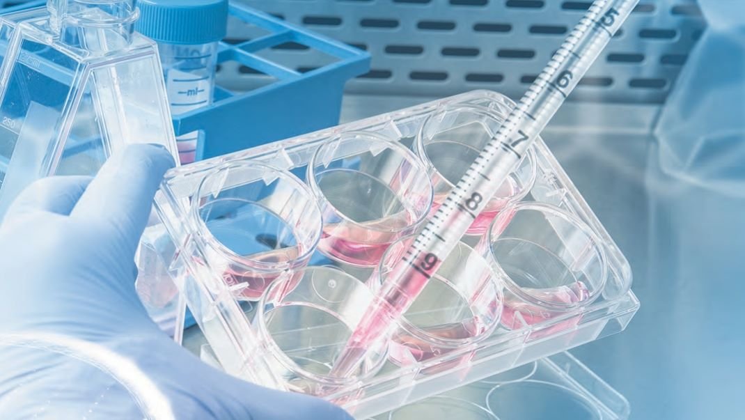 Resurging Funding Catapults APAC Biotech Startups