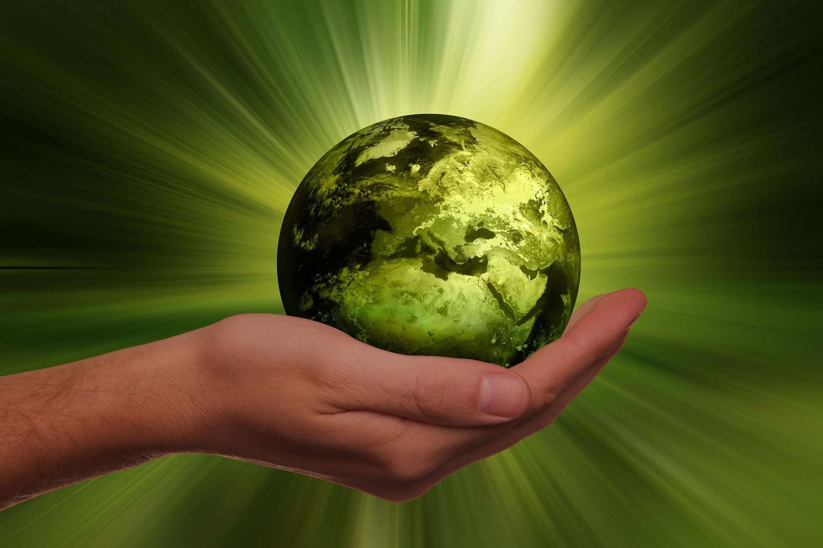 New simplifications in sustainability reporting