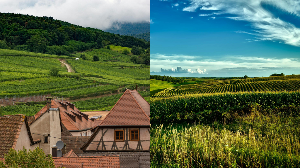 How IPM Strategies Compare in the EU and U.S.