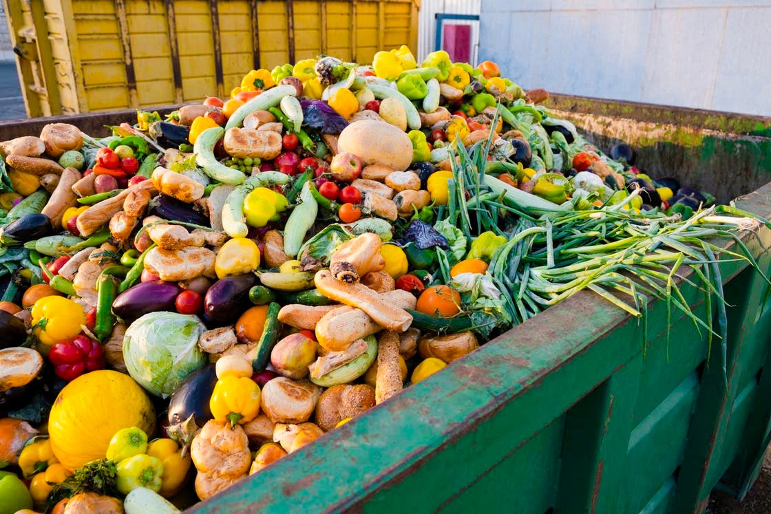 The European Union Faces Food Waste and Fast Fashion with a Crucial Environmental Plan