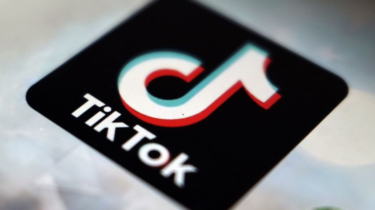 Meta, TikTok’s online platform supervisory fees temporarily on hold: EU court