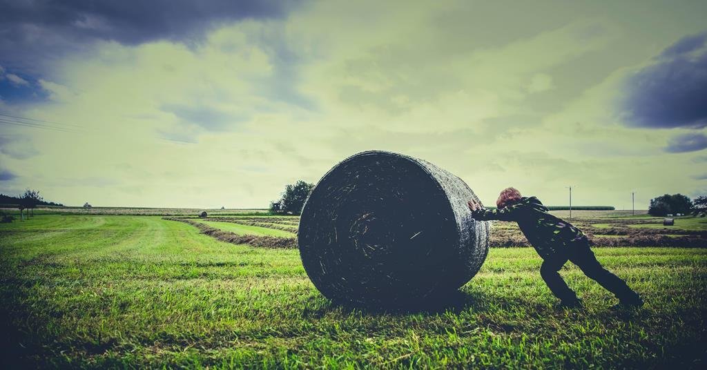 Investor groups push back against planned sustainability disclosure rules for smaller firms | News