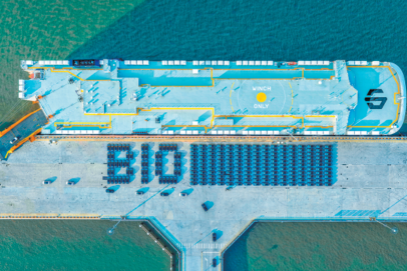 Domestic brands drive global push from regional output to ecosystem