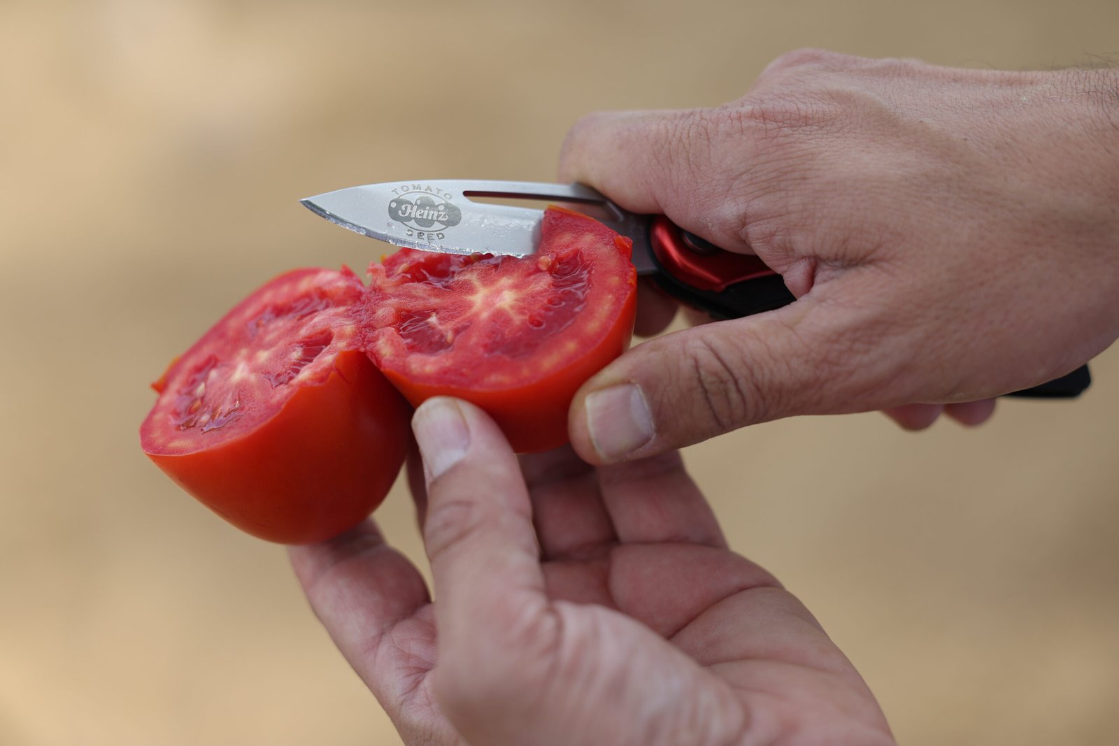 Kraft Heinz expands European tomato supply with energy-efficient processing plant