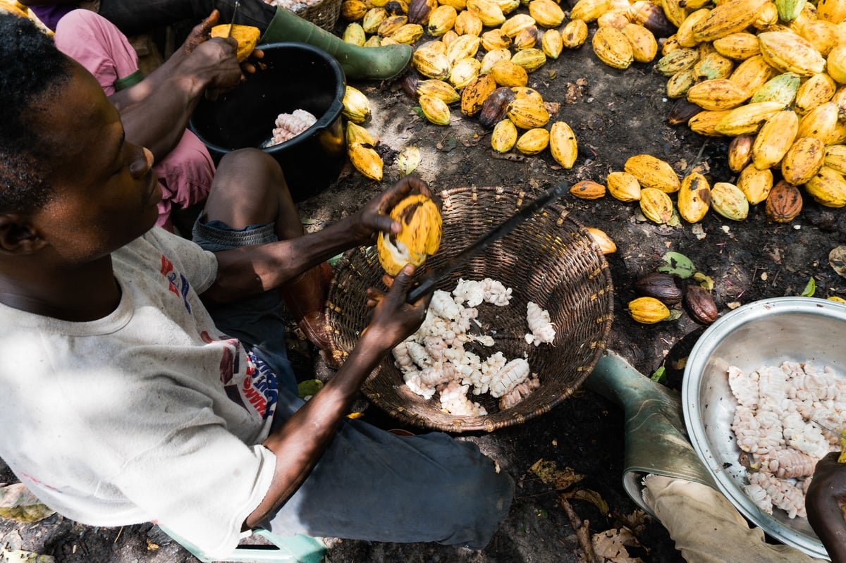 Why the EU can’t afford to sideline the world’s smallholder farmers