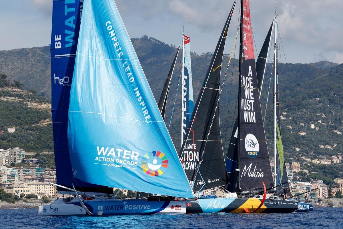 Five reasons why you should visit Tivat and Ocean Live Park