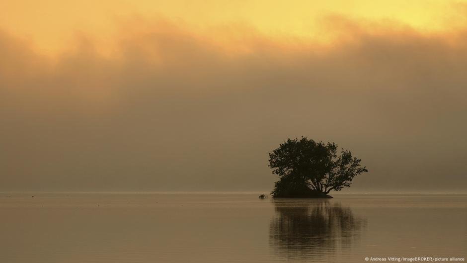 Environmental damage threatens prosperity in Europe – DW – 09/29/2025