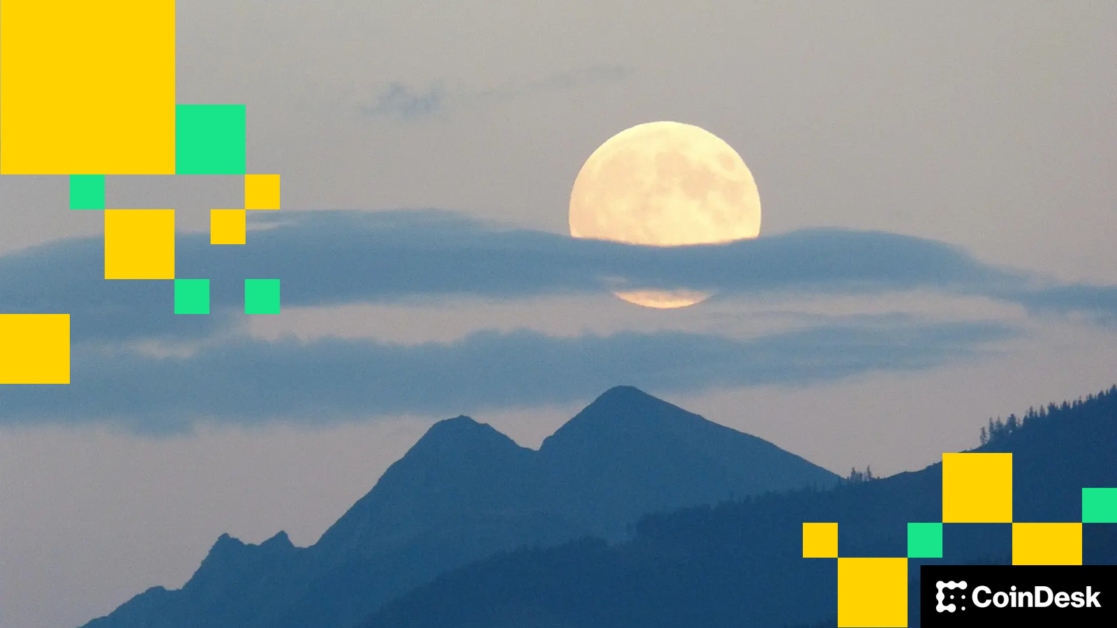 Robinhood website (Unsplash)