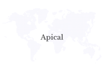 Apical Joins Industry Leaders to Launch Aceh Sustainable Palm Oil Working Group