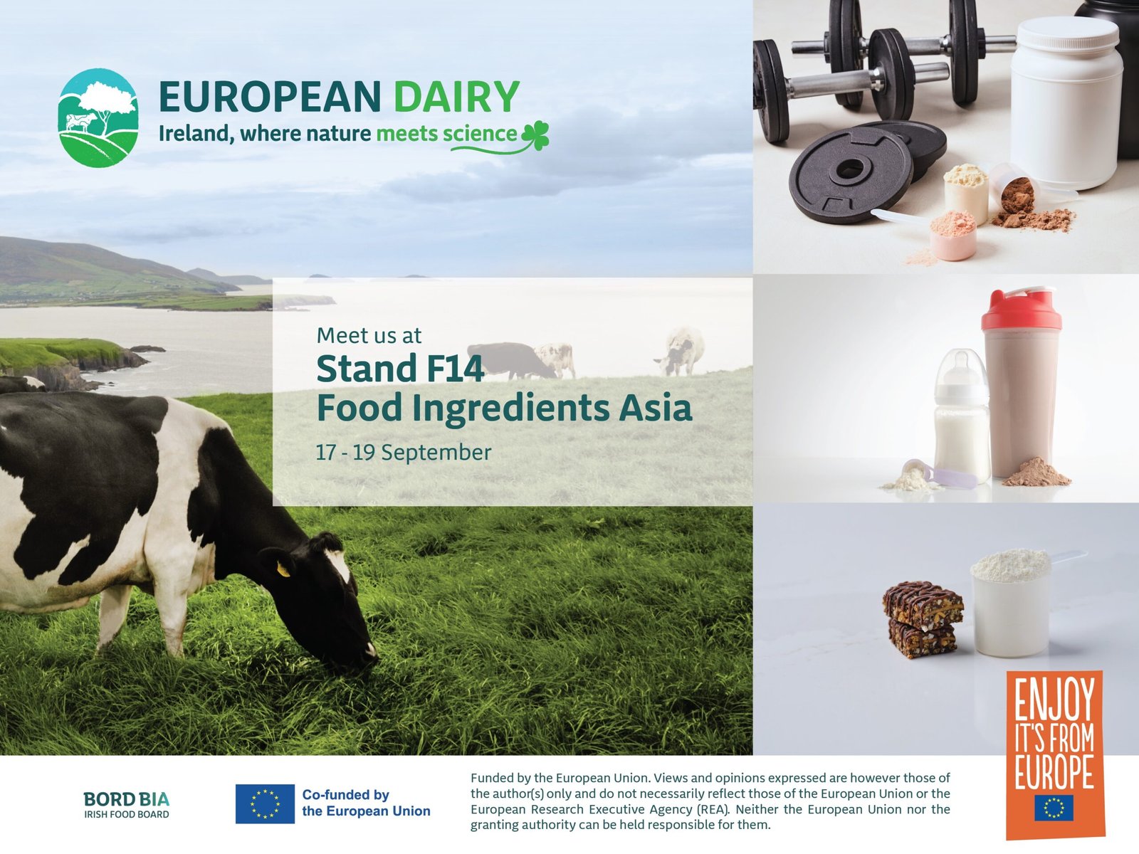 European Dairy Exports from Ireland to Asia Top EUR440 Million in 2024 as Ireland Launches EUR3.2 Million EU Campaign to Strengthen Partnerships