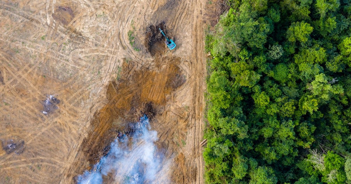 EUDR delay proposed again by Commission