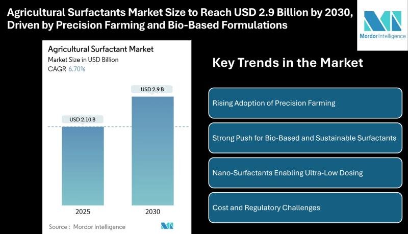 Agricultural Surfactants Market Size & Trends