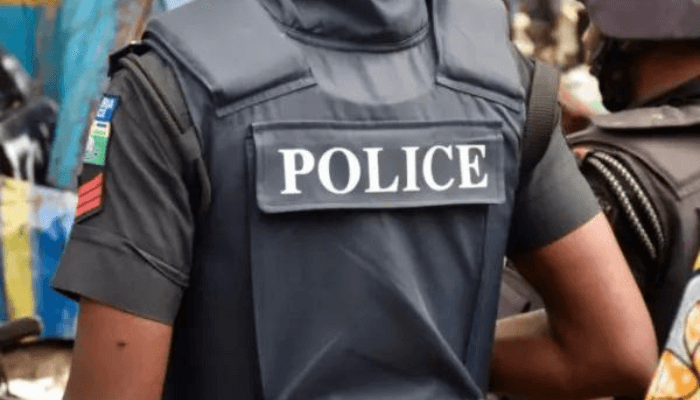 Global allies back Nigeria’s push for state police, LG autonomy